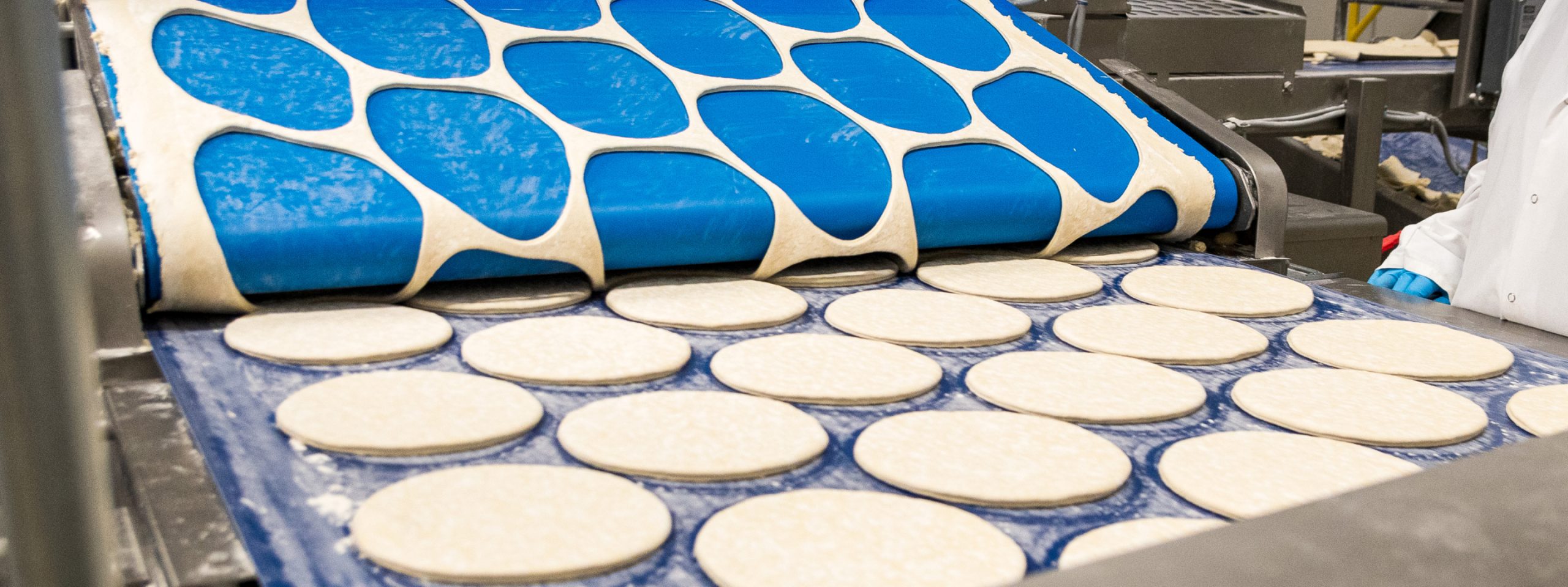 Circular dough shapes on a conveyer belt