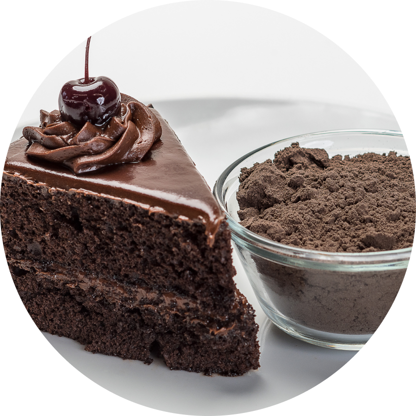 A slice of chocolate cake with chocolate icing