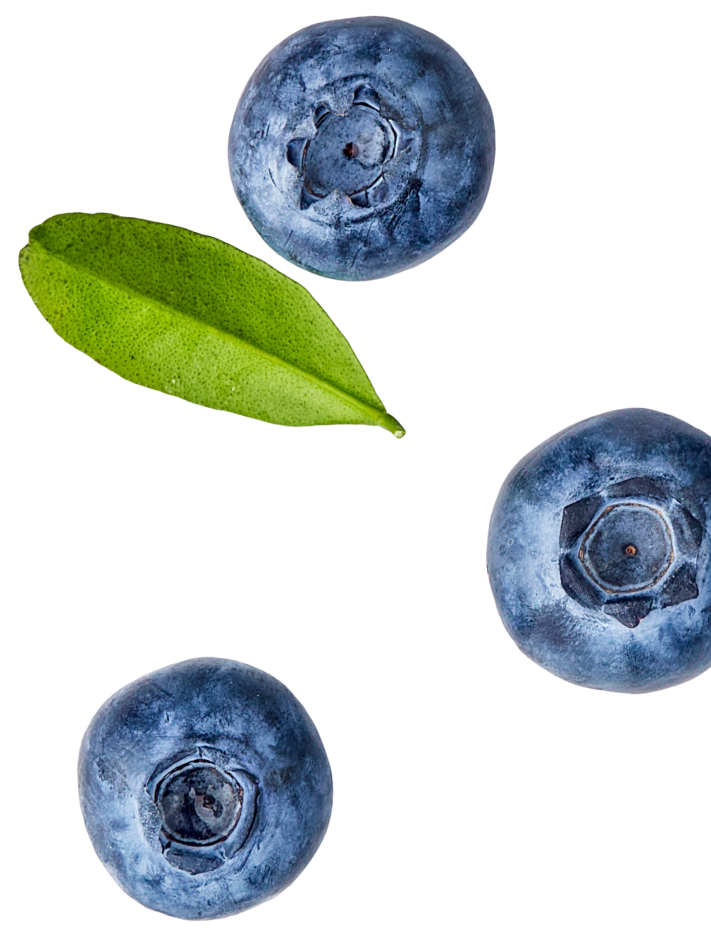 Blueberries and a leaf