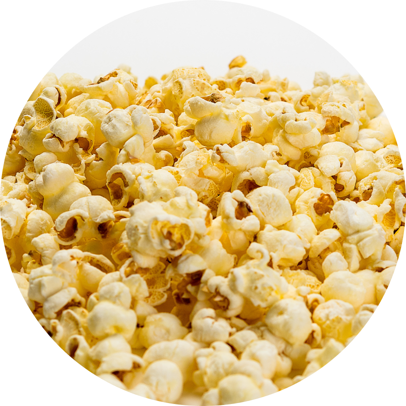 Seasoned popcorn kernels